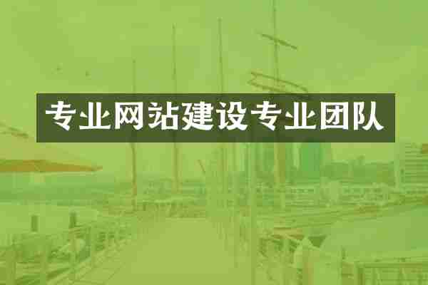 专业网站建设专业团队