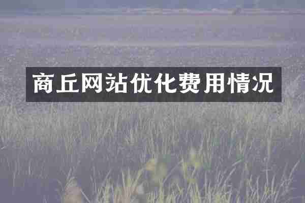 商丘网站优化费用情况