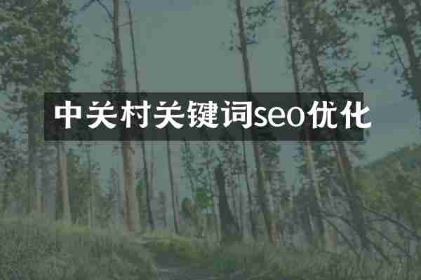 中关村关键词seo优化