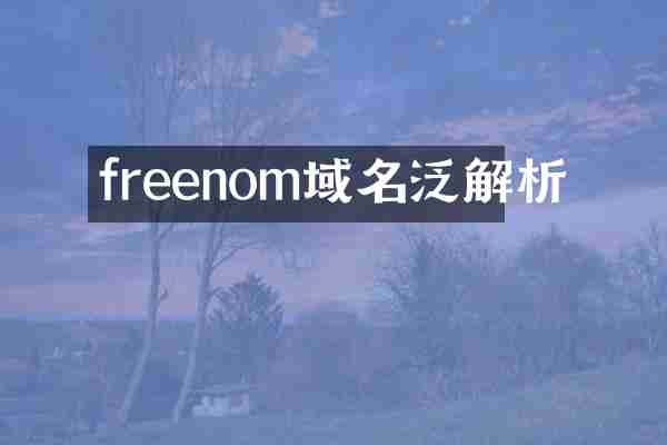 freenom域名泛解析