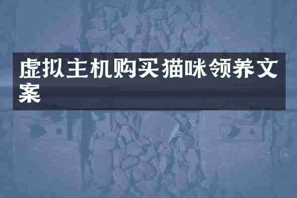 虚拟主机购买猫咪领养文案
