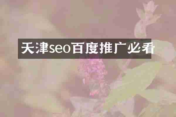 天津seo百度推广必看