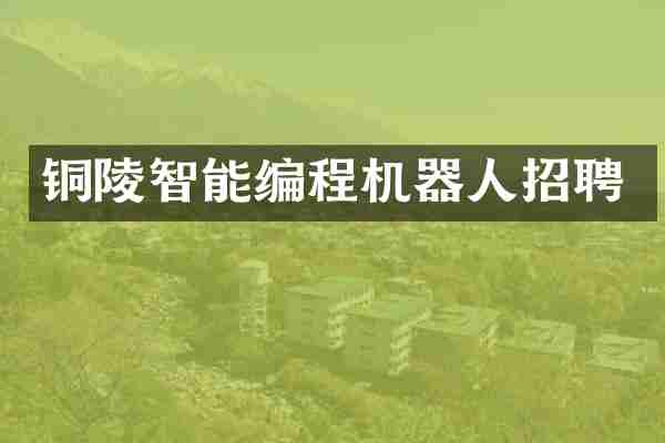 铜陵智能编程机器人招聘