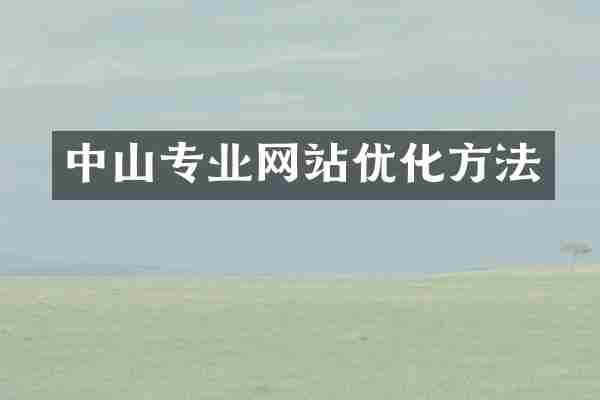 中山专业网站优化方法