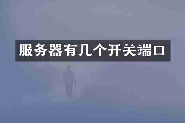 服务器有几个开关端口