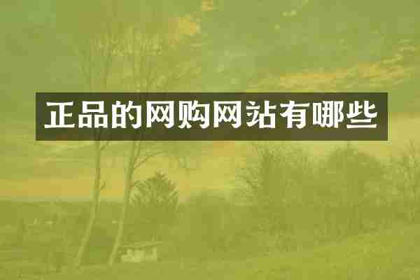 正品的网购网站有哪些