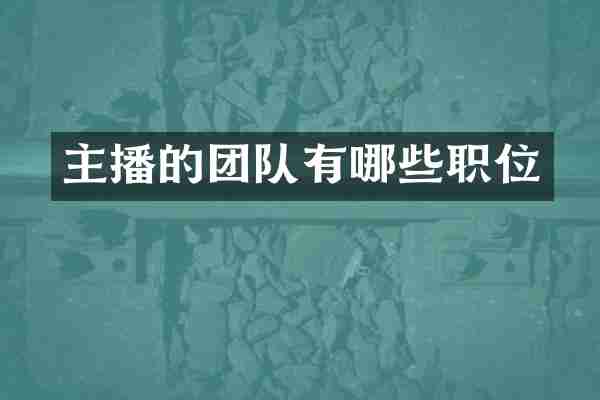 主播的团队有哪些职位
