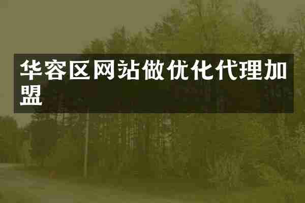华容区网站做优化代理加盟
