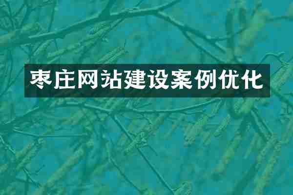 枣庄网站建设案例优化