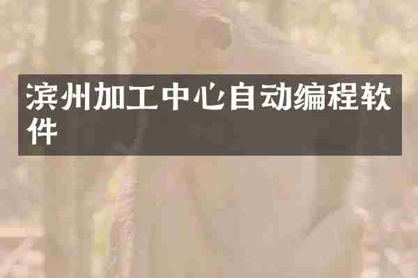 滨州加工中心自动编程软件