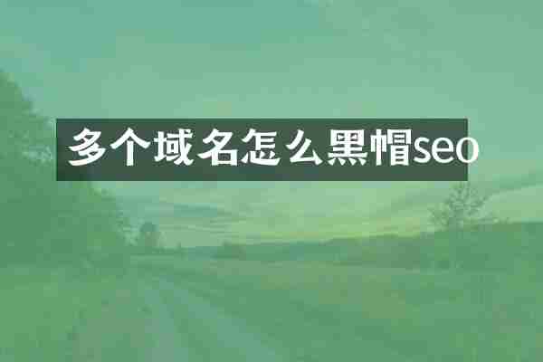 多个域名怎么黑帽seo