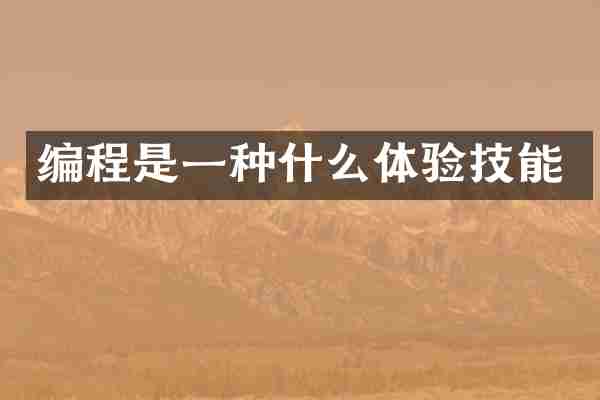 编程是一种什么体验技能