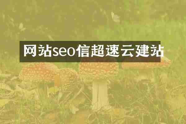 网站seo信超速云建站