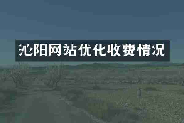 沁阳网站优化收费情况