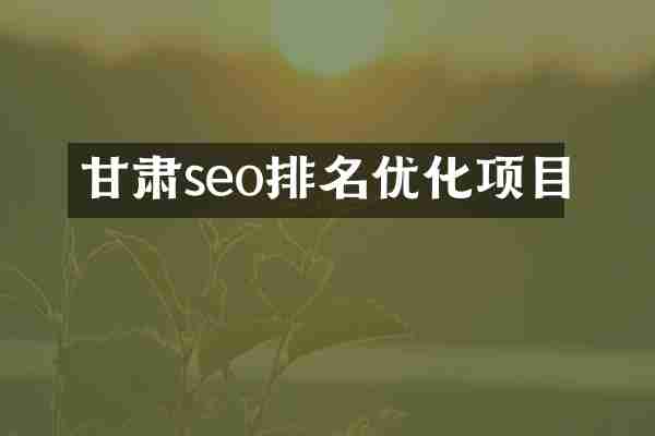 甘肃seo排名优化项目