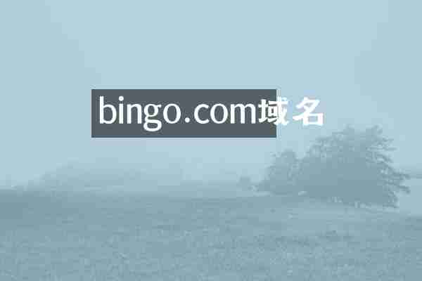 bingo.com域名