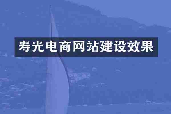 寿光电商网站建设效果