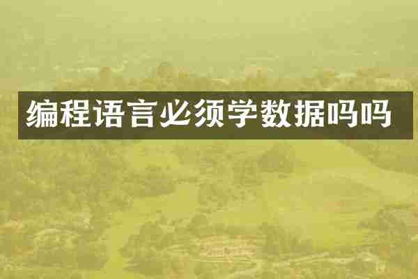 编程语言必须学数据吗吗