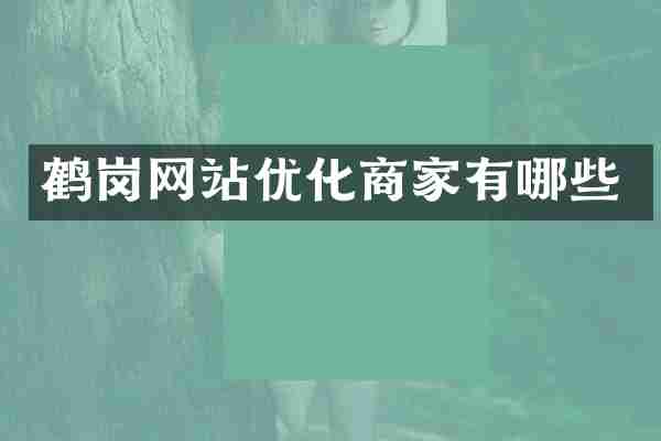 鹤岗网站优化商家有哪些