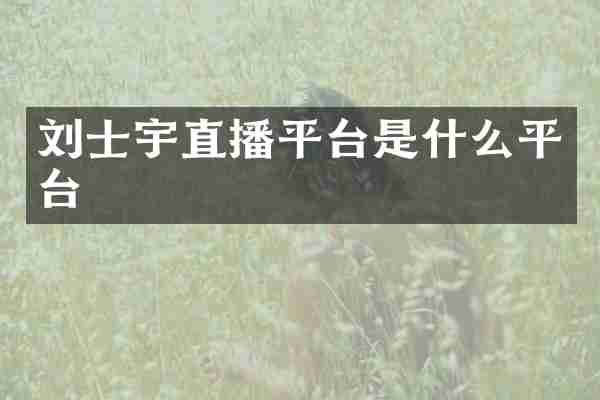 刘士宇直播平台是什么平台