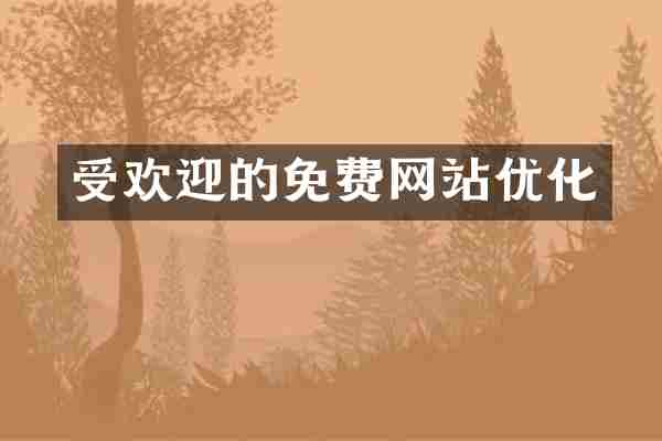 受欢迎的免费网站优化