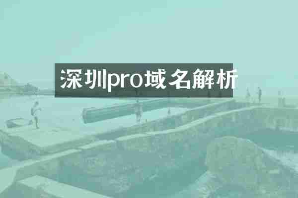 深圳pro域名解析