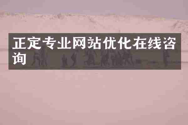 正定专业网站优化在线咨询