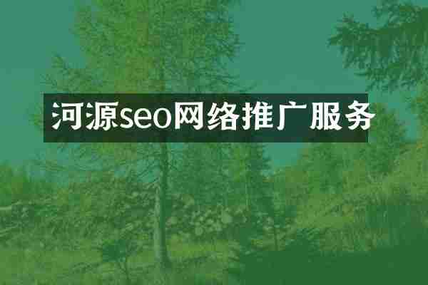 河源seo网络推广服务