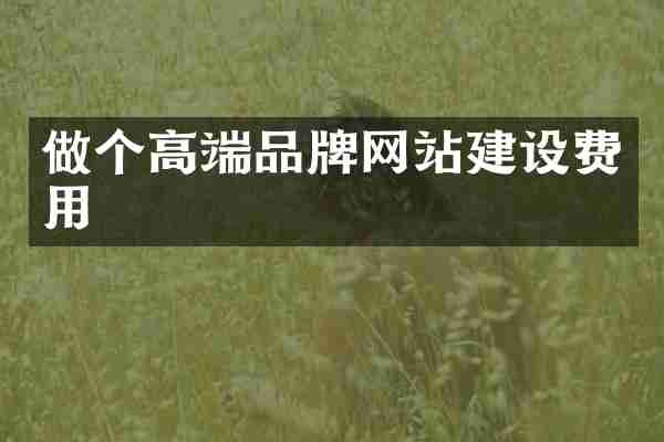 做个高端品牌网站建设费用