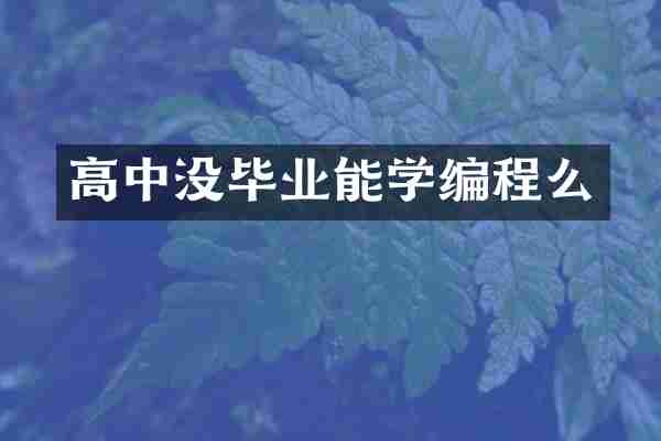 高中没毕业能学编程么