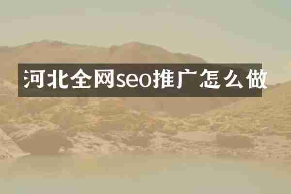 河北全网seo推广怎么做