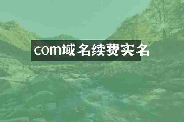com域名续费实名