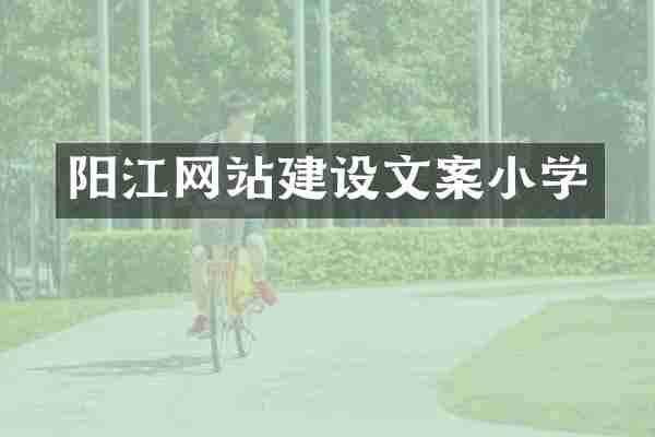 阳江网站建设文案小学
