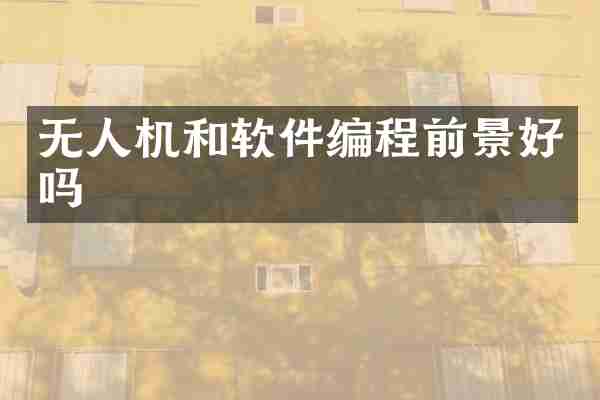 无人机和软件编程前景好吗