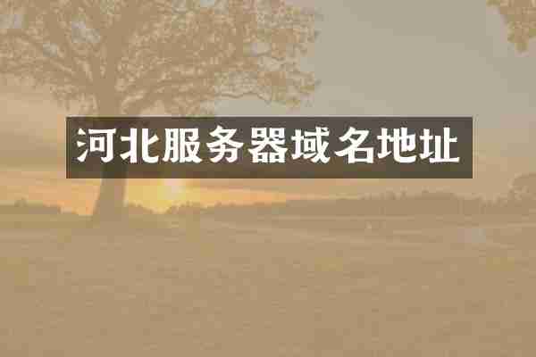 河北服务器域名地址