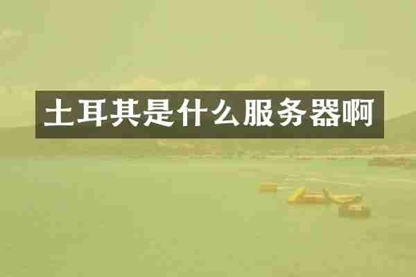 土耳其是什么服务器啊