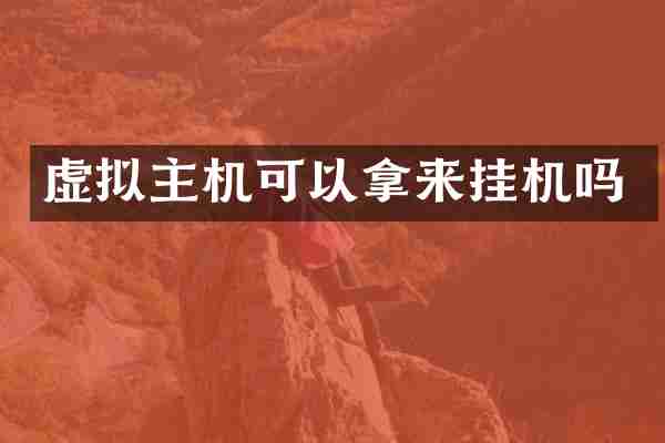 虚拟主机可以拿来挂机吗