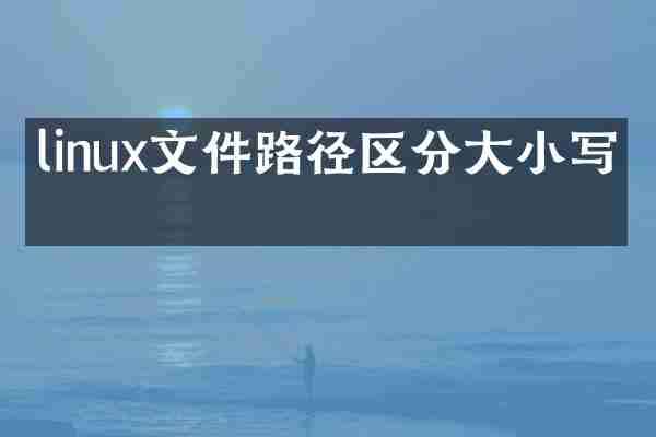linux文件路径区分大小写吗
