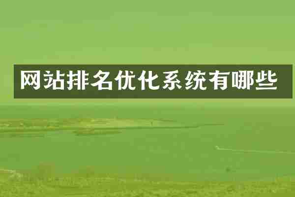 网站排名优化系统有哪些