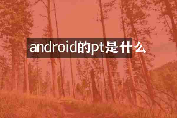 android的pt是什么