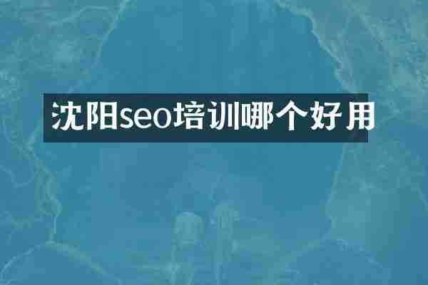 沈阳seo培训哪个好用