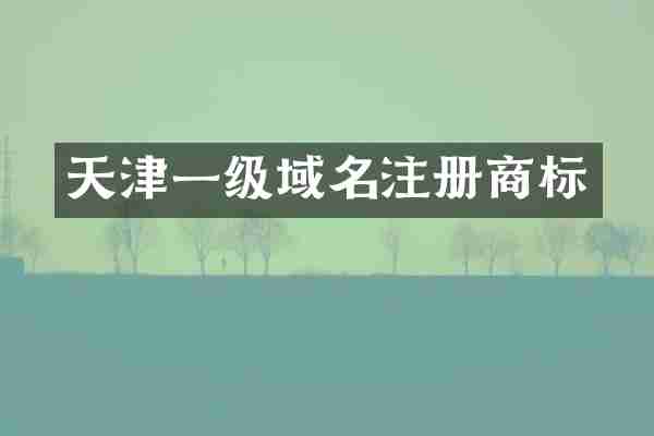 天津一级域名注册商标