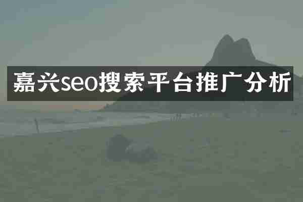 嘉兴seo搜索平台推广分析
