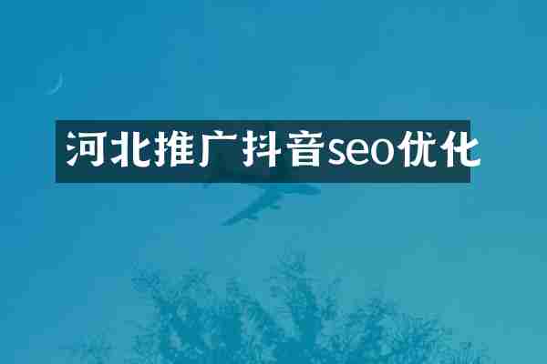 河北推广抖音seo优化