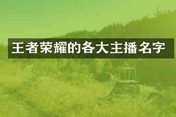 王者荣耀的各大主播名字