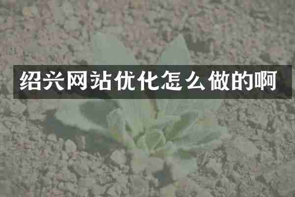 绍兴网站优化怎么做的啊