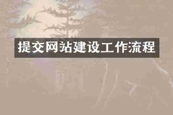 提交网站建设工作流程