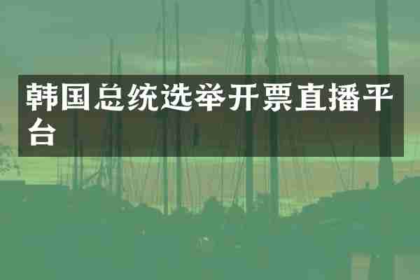 韩国总统选举开票直播平台