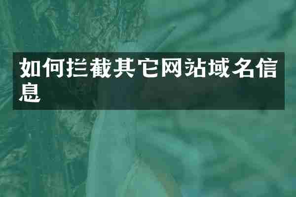 如何拦截其它网站域名信息