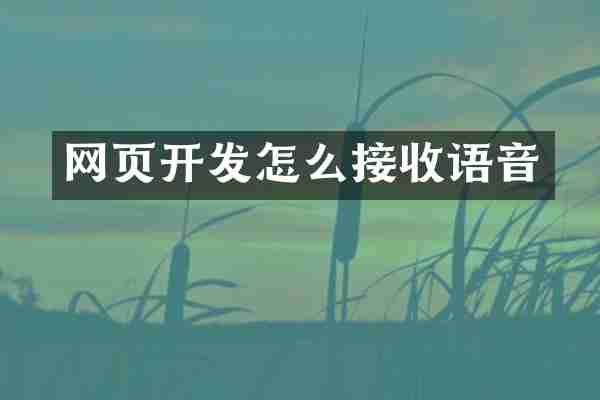 网页开发怎么接收语音
